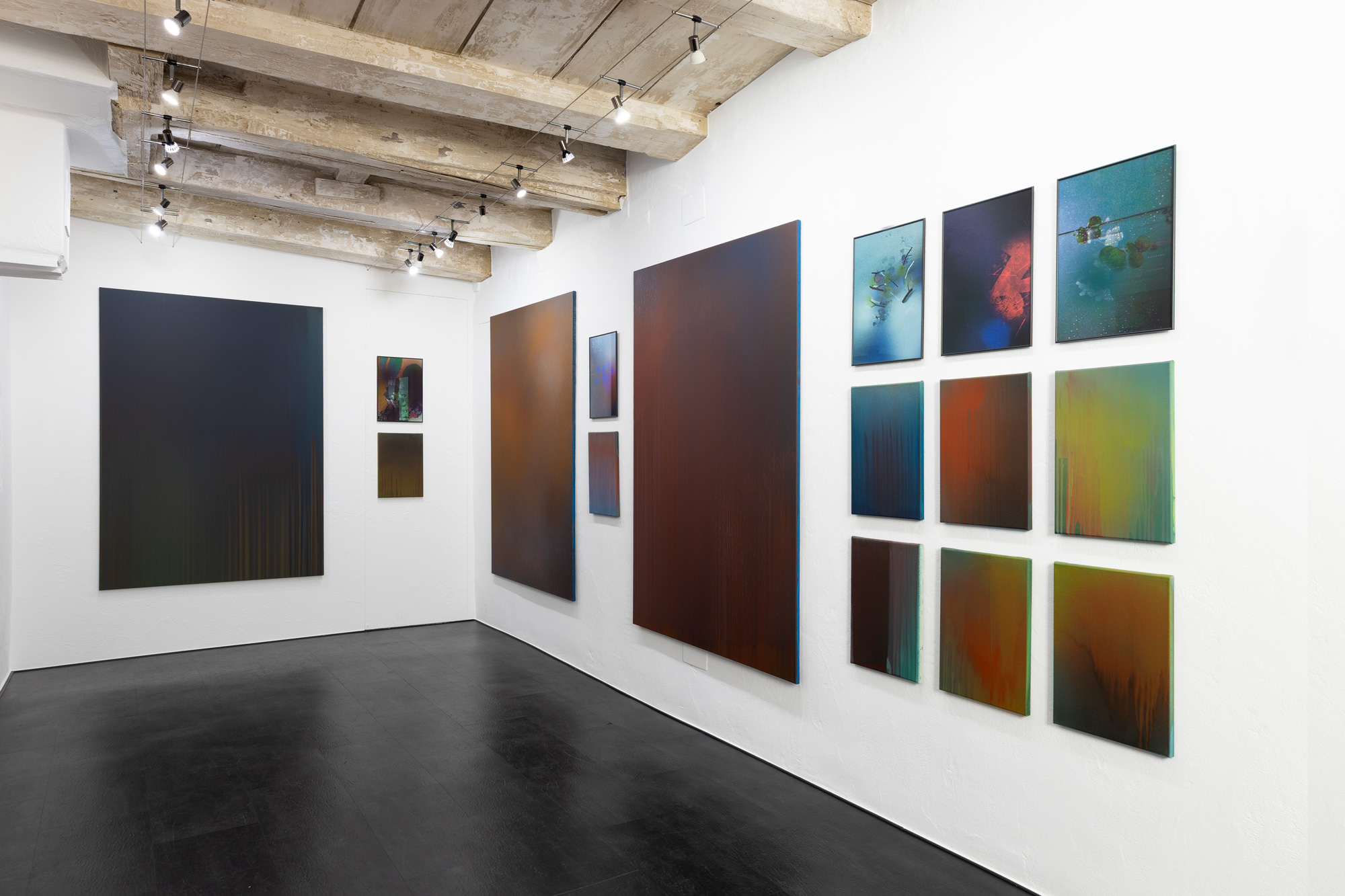 Miriam Bossard Project - Introspection: Interference - Paintings