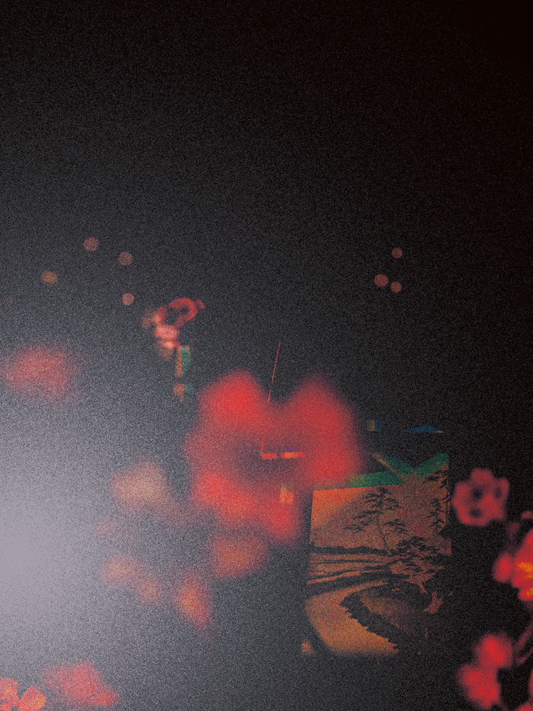 Miriam Bossard Project - Introspection: Somnium - Digital Collage
