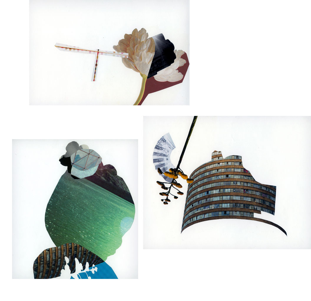 Miriam Bossard Project - Collages - Cut-out papers